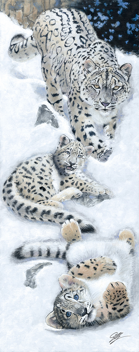 Snow Leopards